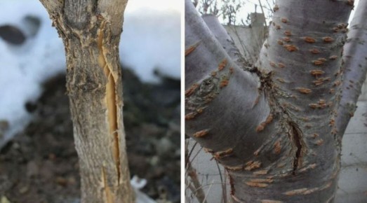 ��� �������� ������� ������� �� ����������: ������� � ����������� ������