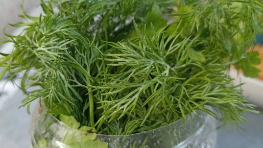 ��� ��������� ������ ������ �� ��� ������: ����������� ������