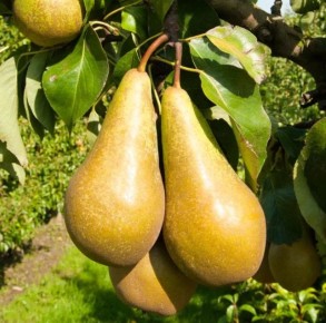 ���������� ����� � ��������� ����� ��� ������� ����: ��, ��� ����� �����