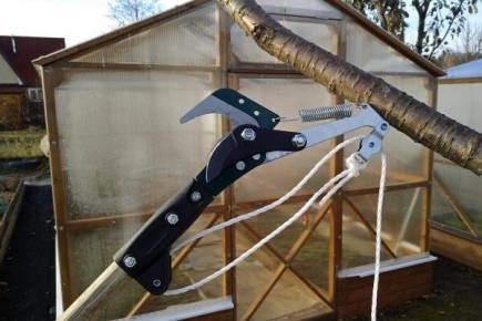 ���� �� ������� ������: ������� ���������� �������