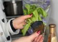 Как горшочки из-под зелени помогут сэкономить на продуктах и накормить семью