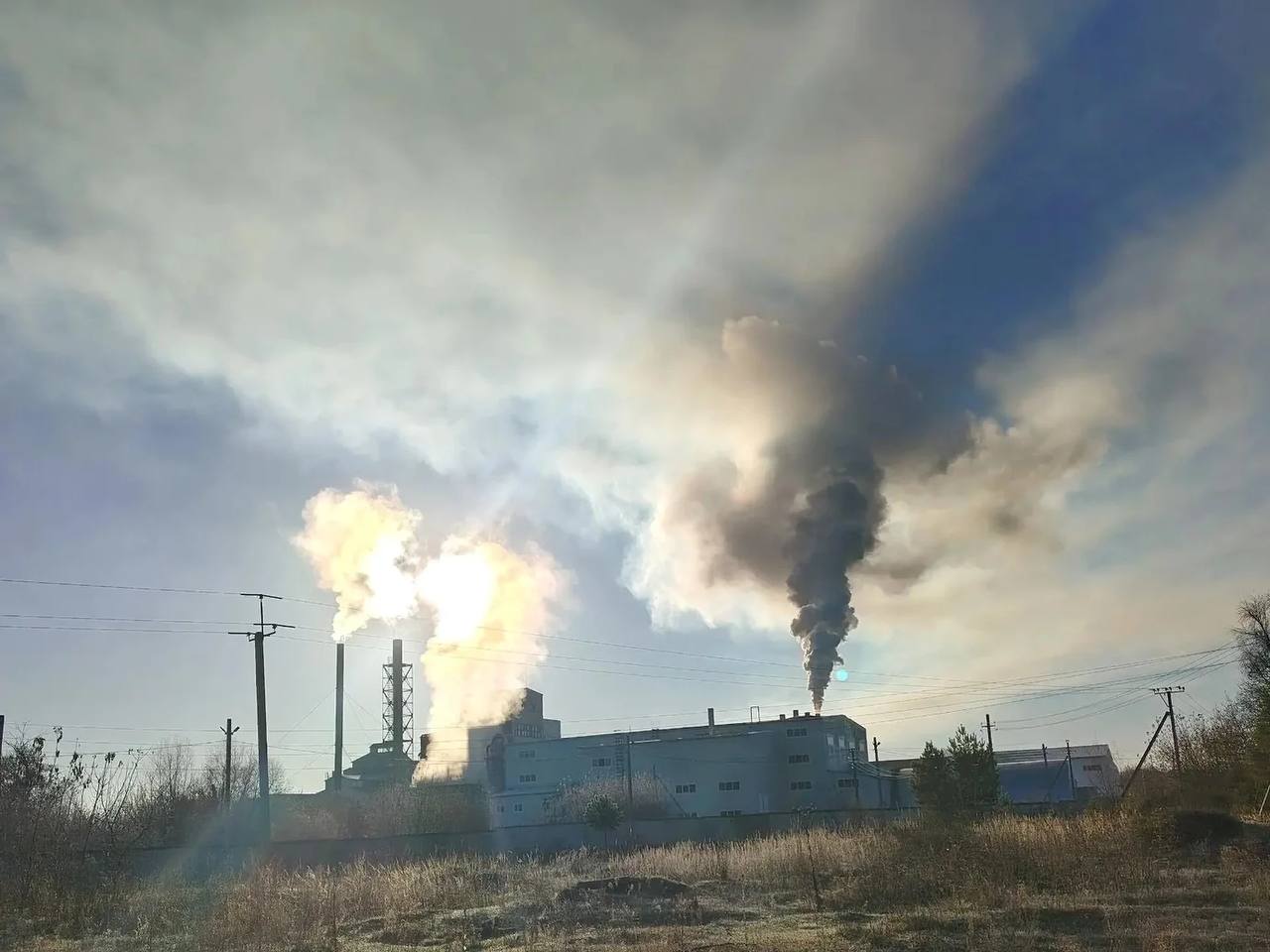 В Ульяновской области жители Мулловки просят остановить вредное производство